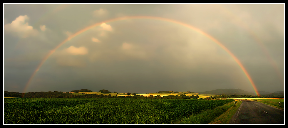 Rainbow   	