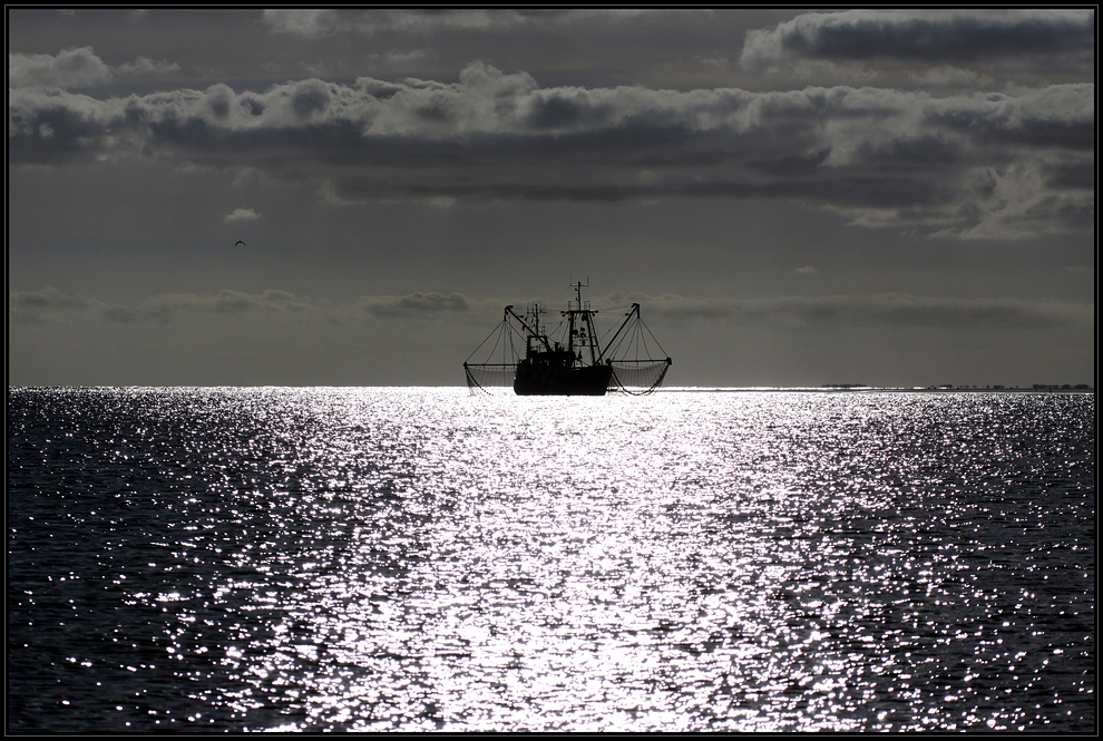 Krabbenfänger in der Nordsee - Borkum ( Borkumer Bucht )