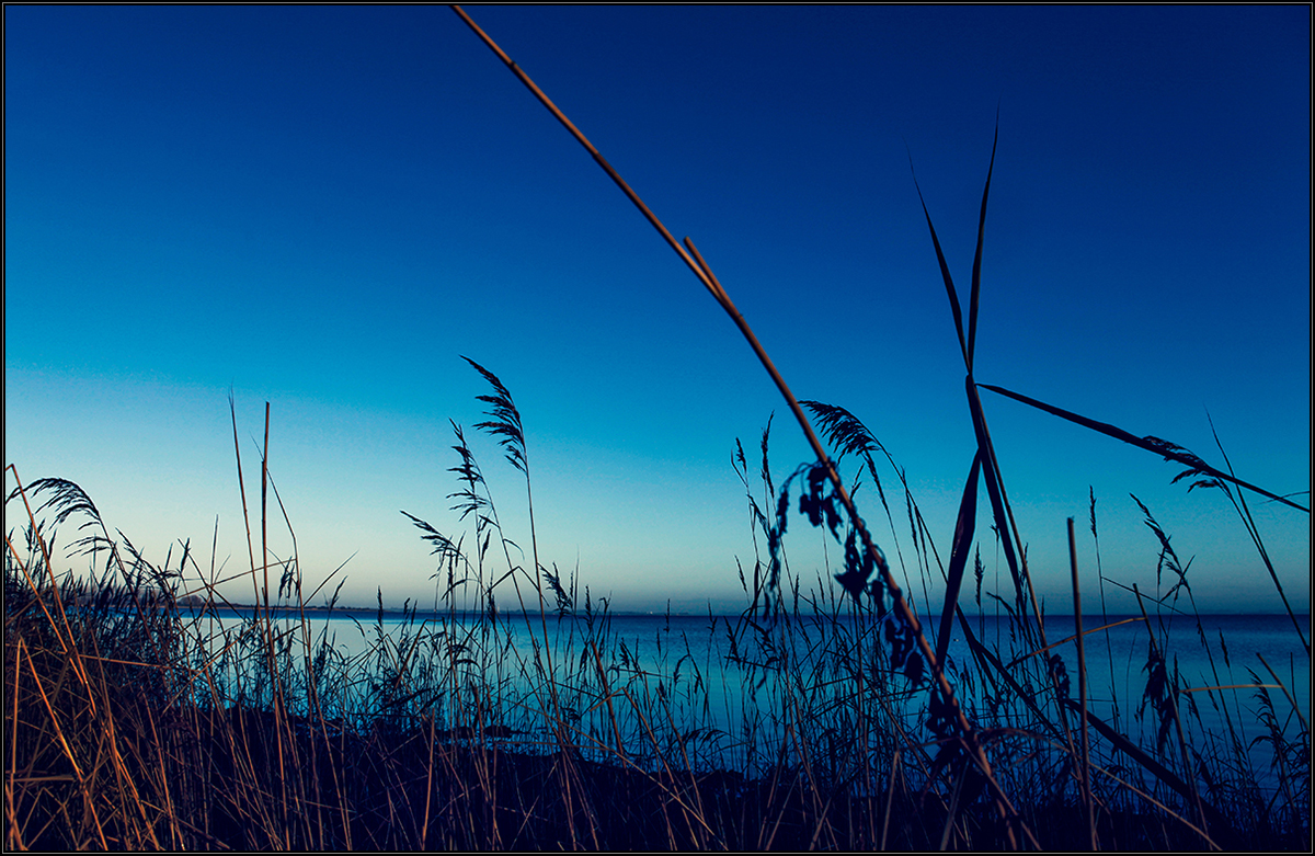 The Blue