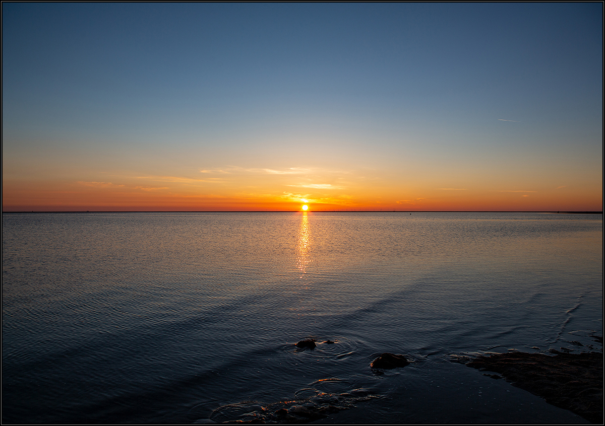 Borkum XXXI