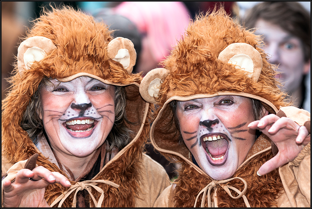 Karneval 2014 in Düsseldorf 