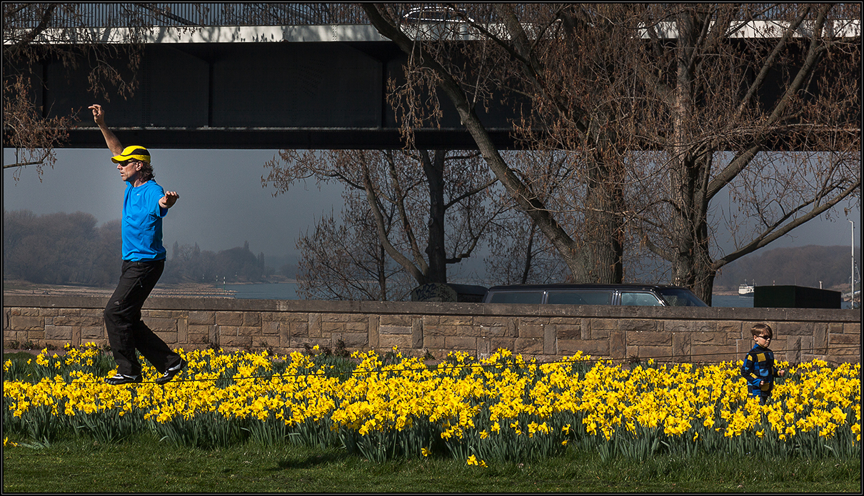  Vormittag auf der Rheinwiese
