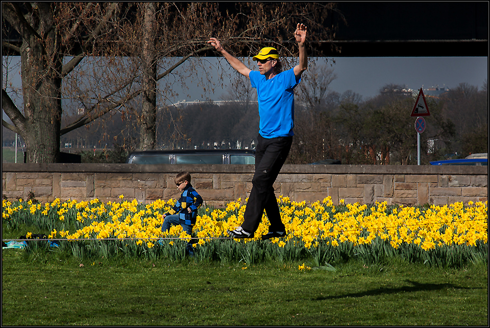  Vormittag auf der Rheinwiese II