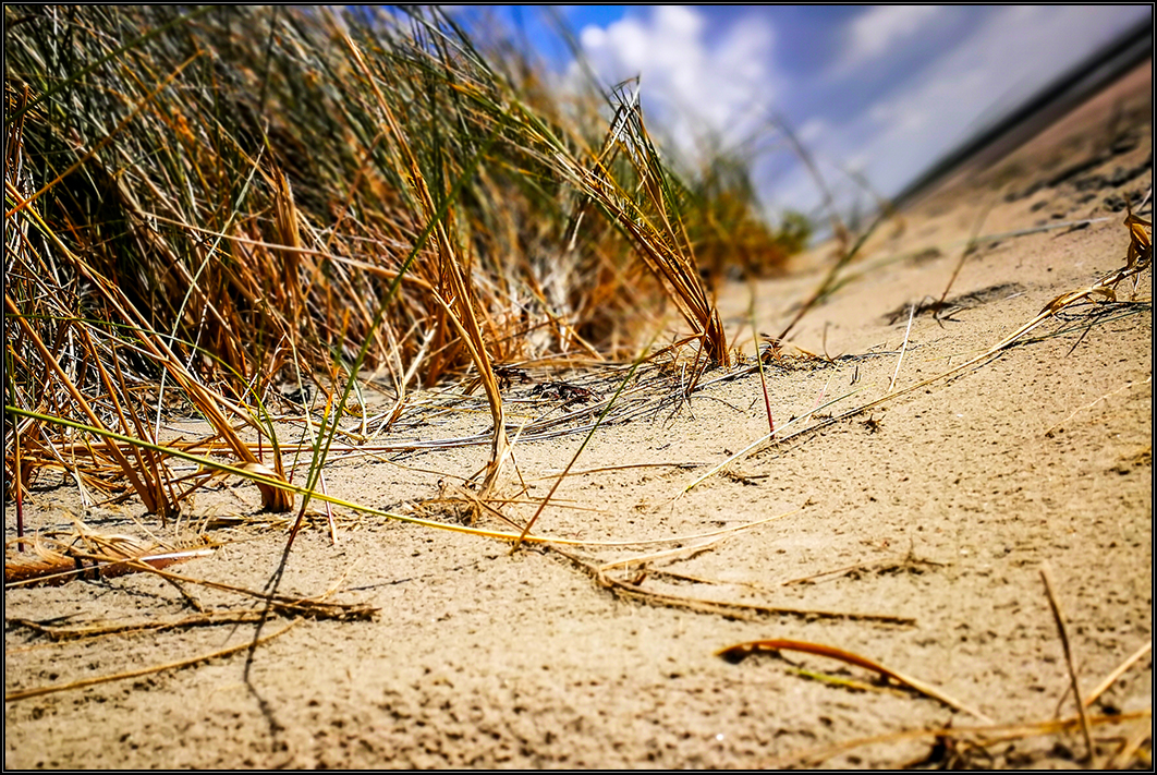 Borkum XXVIII