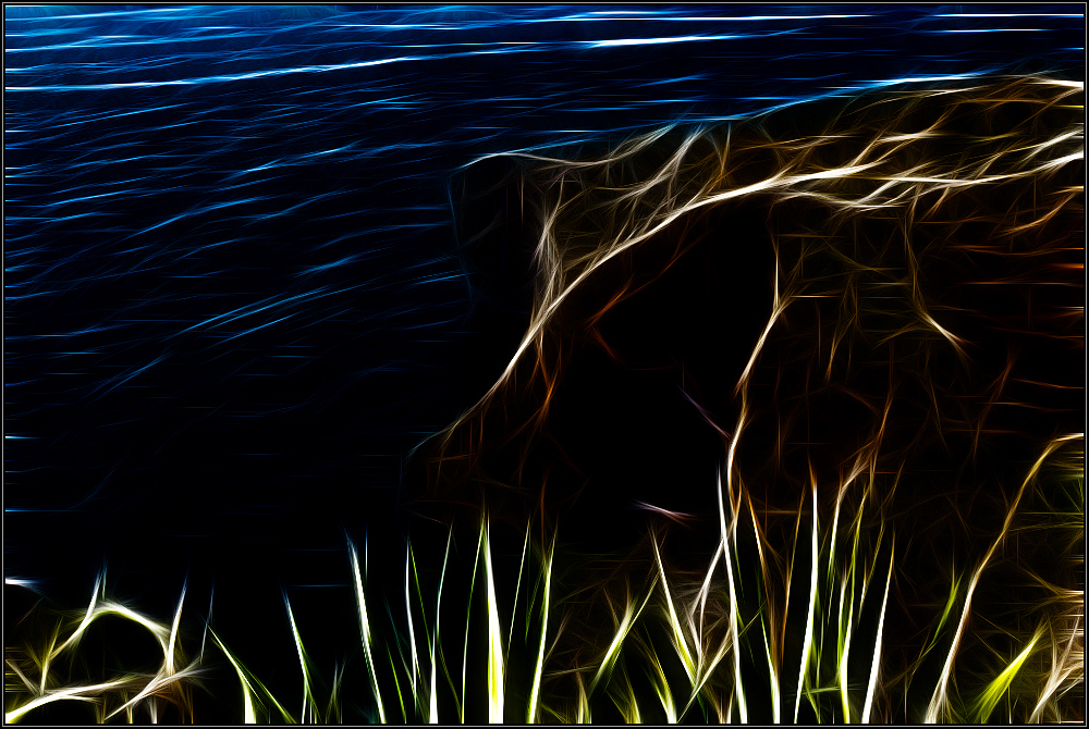 Dreaming