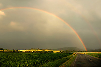 Rainbow   	
