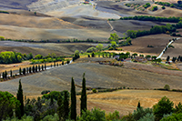 Toscana V