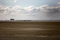 Borkum XX