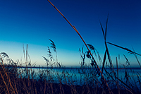 The Blue