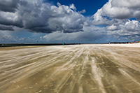 Borkum XXI