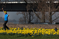  Vormittag auf der Rheinwiese