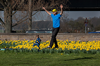  Vormittag auf der Rheinwiese II