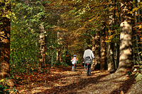 Aaper Wald in Düsseldorf-Rath 