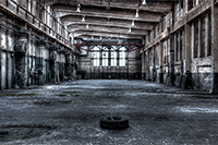 The Showroom