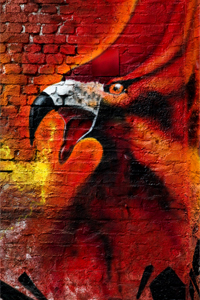 Kunst ist, wenn Mann`$ Macht XXIV - Düsseldorf