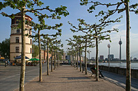  Düsseldorf - Promenade Rathausufer