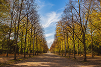 Hofgarten Düsseldorf