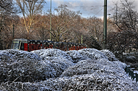 "Kongoussi Express" der Rheinbahn AG 